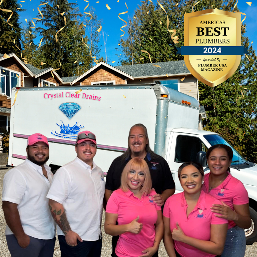 Crystal Clear Drains, Plumbing and Water Filtration Systems Plumber in Tampa, FL photo