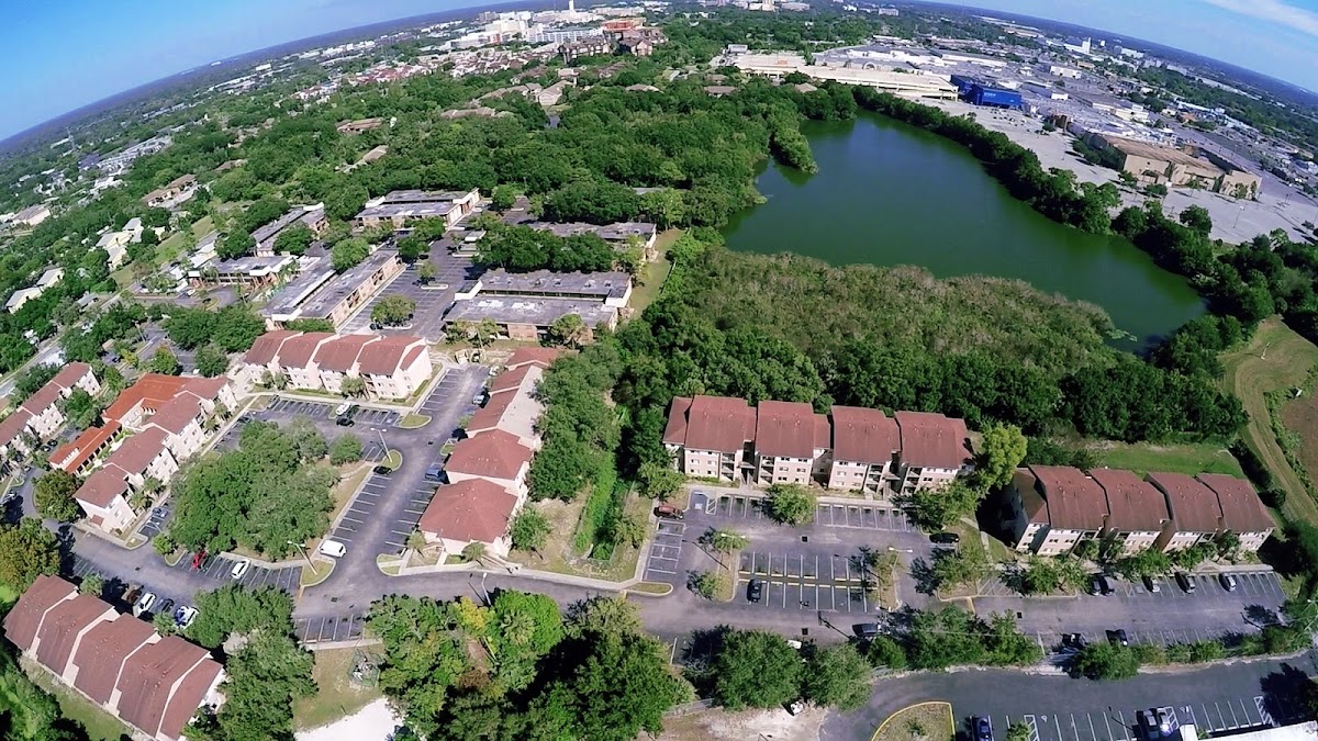 Tampa Bay Plumbers LLC Plumber in Tampa, FL photo