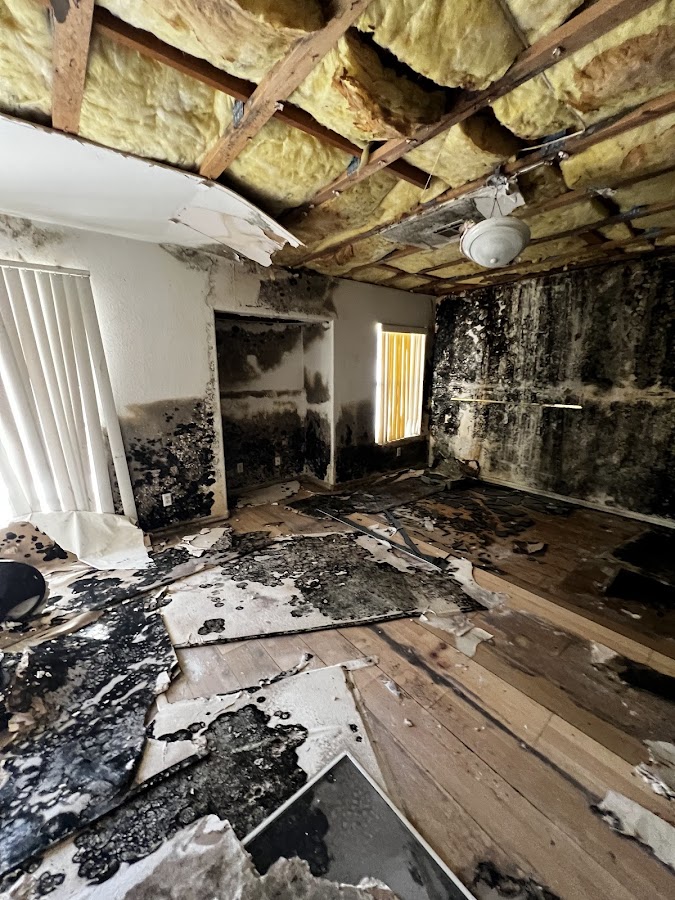 Life Savers Restoration Water Damage Restoration Service in Henderson, NV photo