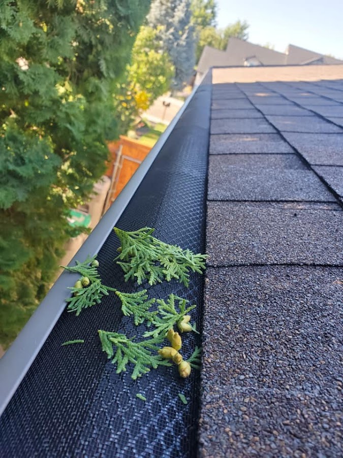 Superior Gutter and Roofing Gutter Service in Nampa, ID photo