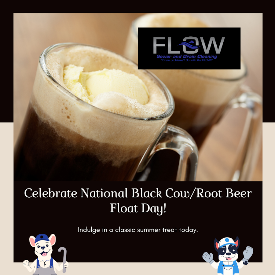 Flow Sewer and Drain Cleaning Plumber in Duluth, MN photo