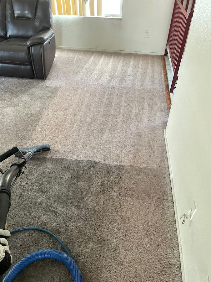 Aloha Carpet Care Janitorial Service in Las Vegas, NV photo