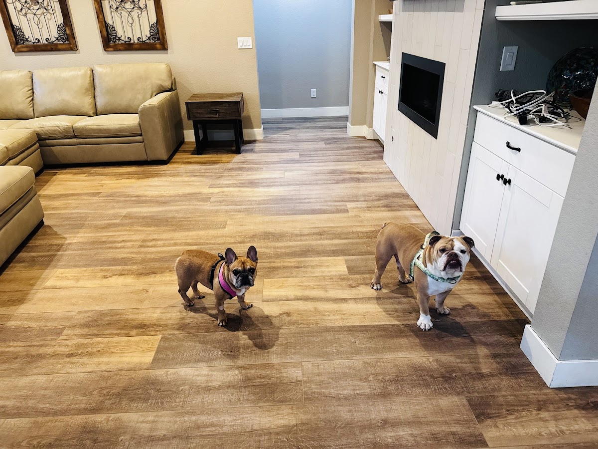 Simply Floors & Painting, Inc Contractor in Arvada, CO photo