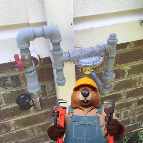 Sean Fixes Johns Plumbing Plumber in Virginia Beach, VA photo