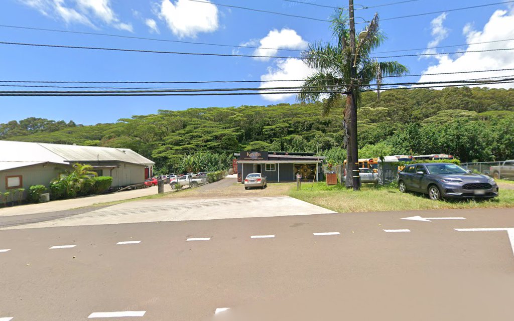 Gallery photo for Da Kine Handyman LLC, Roofing Repair in Kalaheo, HI