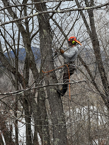Farr's Tree Service Inc Landscaping in Waterbury, VT photo