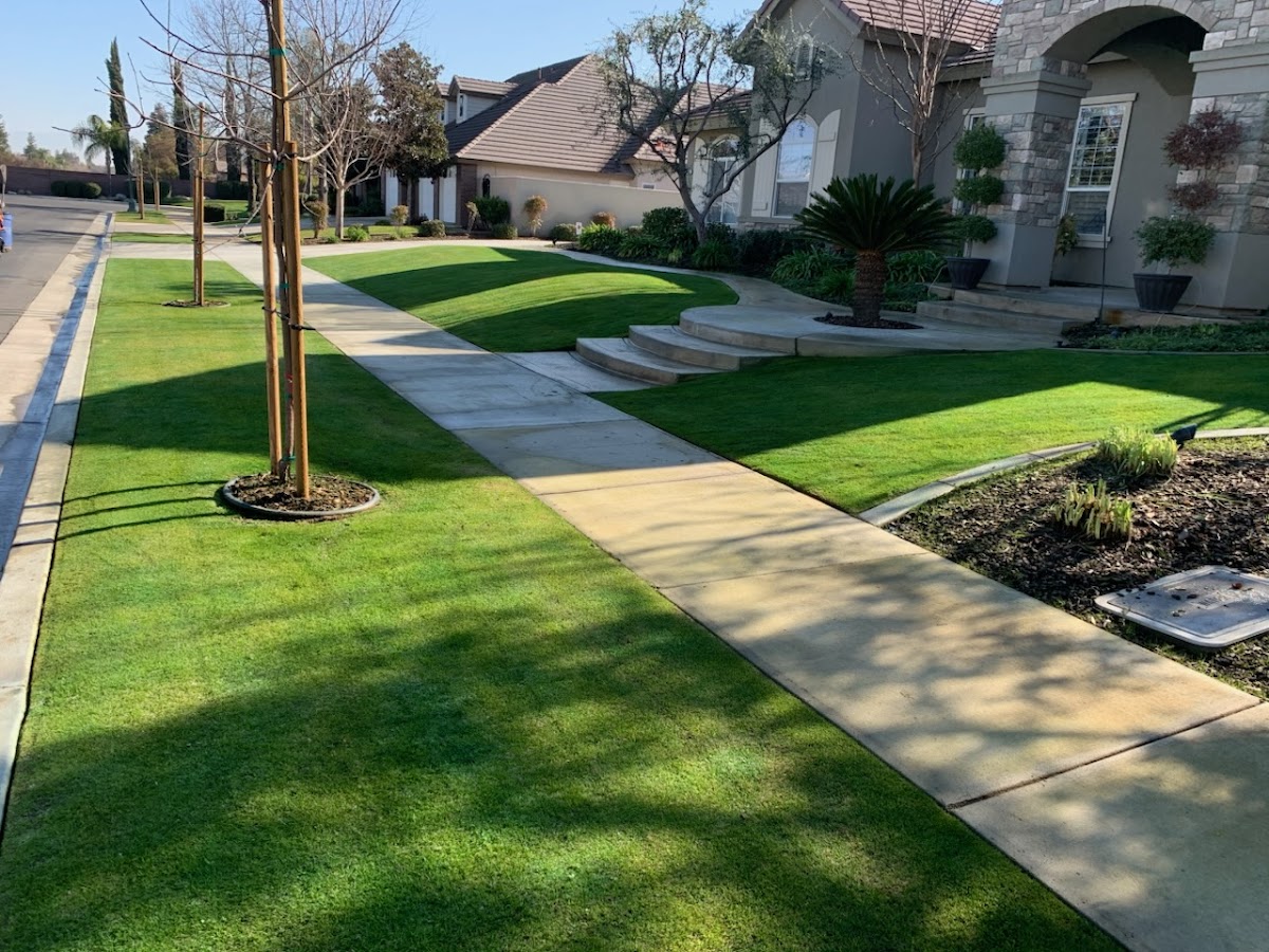 Business photo for Bakersfield T and T Enterprise Pro Gardening and Irrigation Serv in Bakersfield, CA