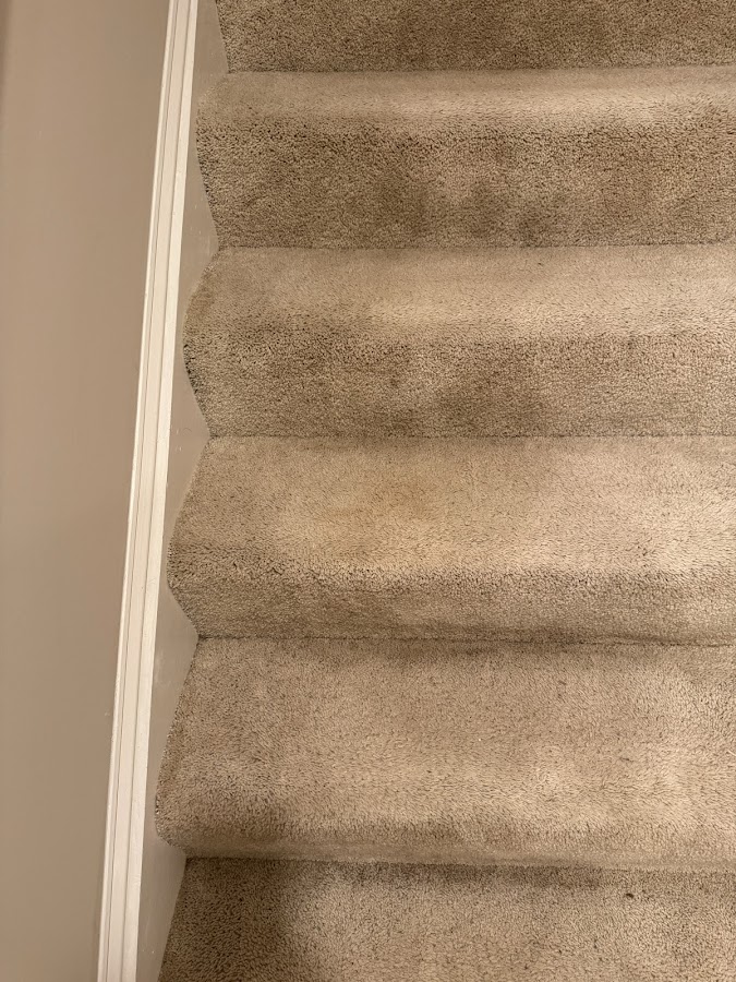 Professional Carpet Restoration LLC Janitorial Service in Alexandria, VA photo