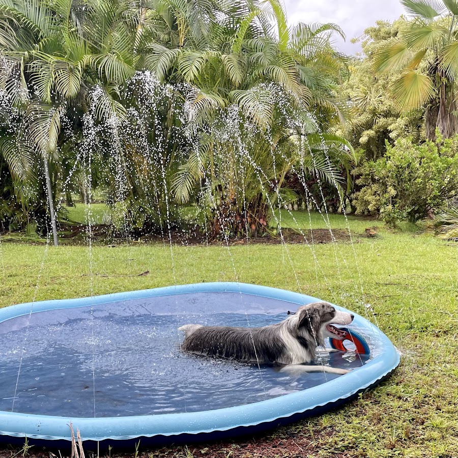Uncle Tilo's Clean Water LLC Plumber in Hi 96778, HI photo