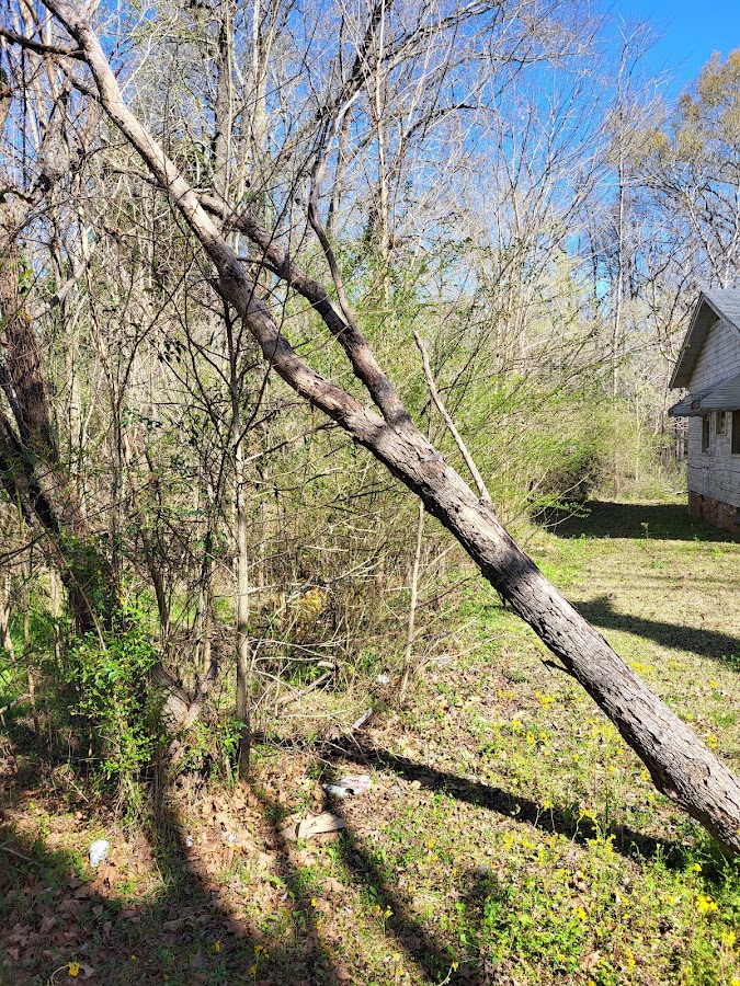 Parkers Landscaping and More Contractor in Vicksburg, MS photo