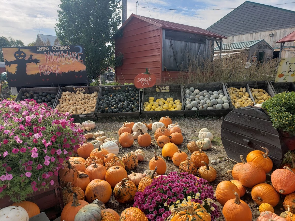 Wallingford's Fruit House Contractor in Auburn, ME photo