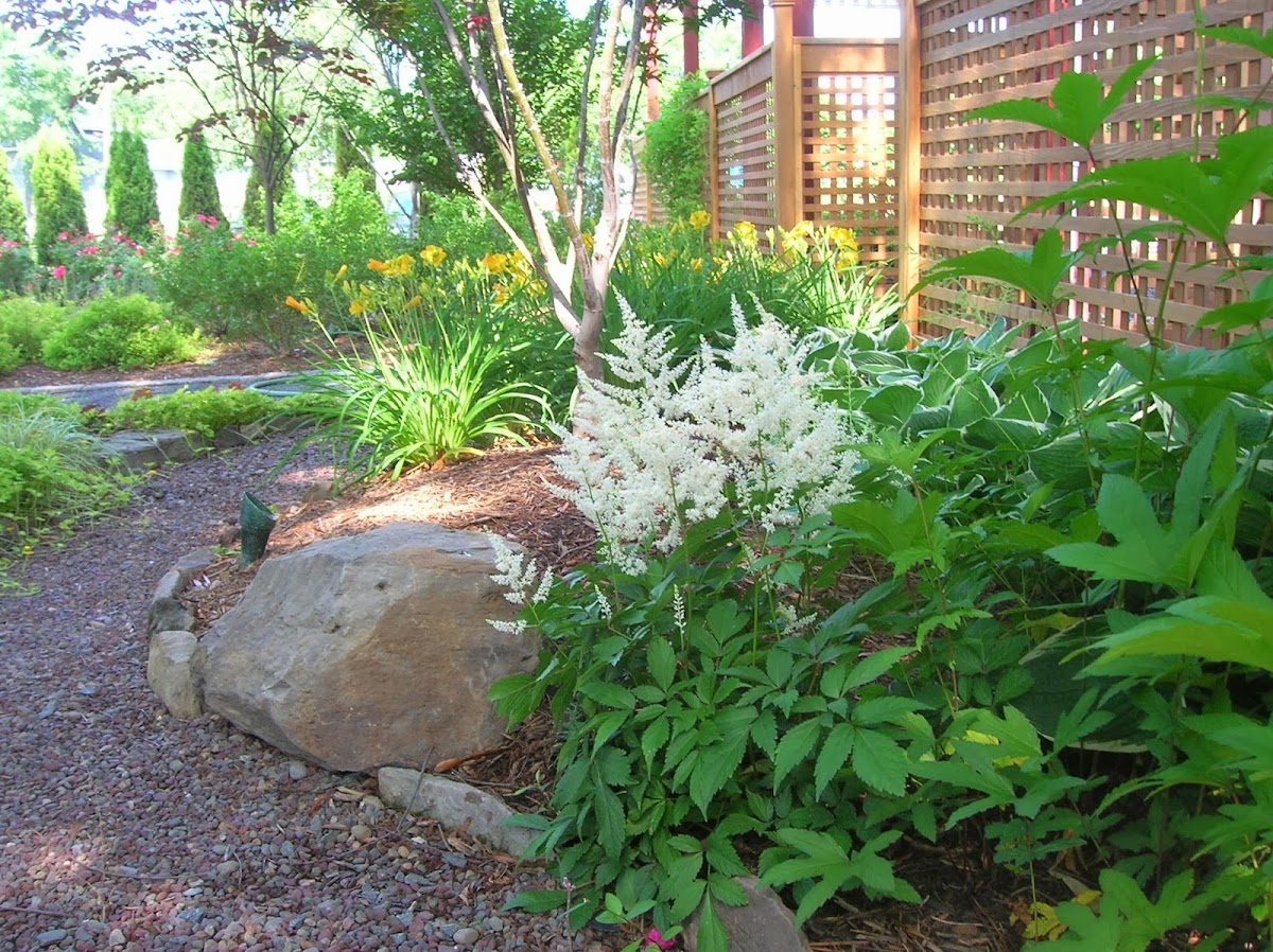 The Great Outdoors, LLC. Landscaper in Charlottesville, VA photo