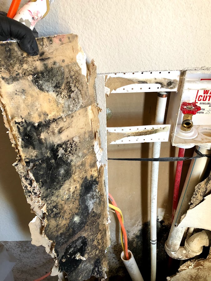 White Mountain Restoration Contractor in Show Low, AZ photo