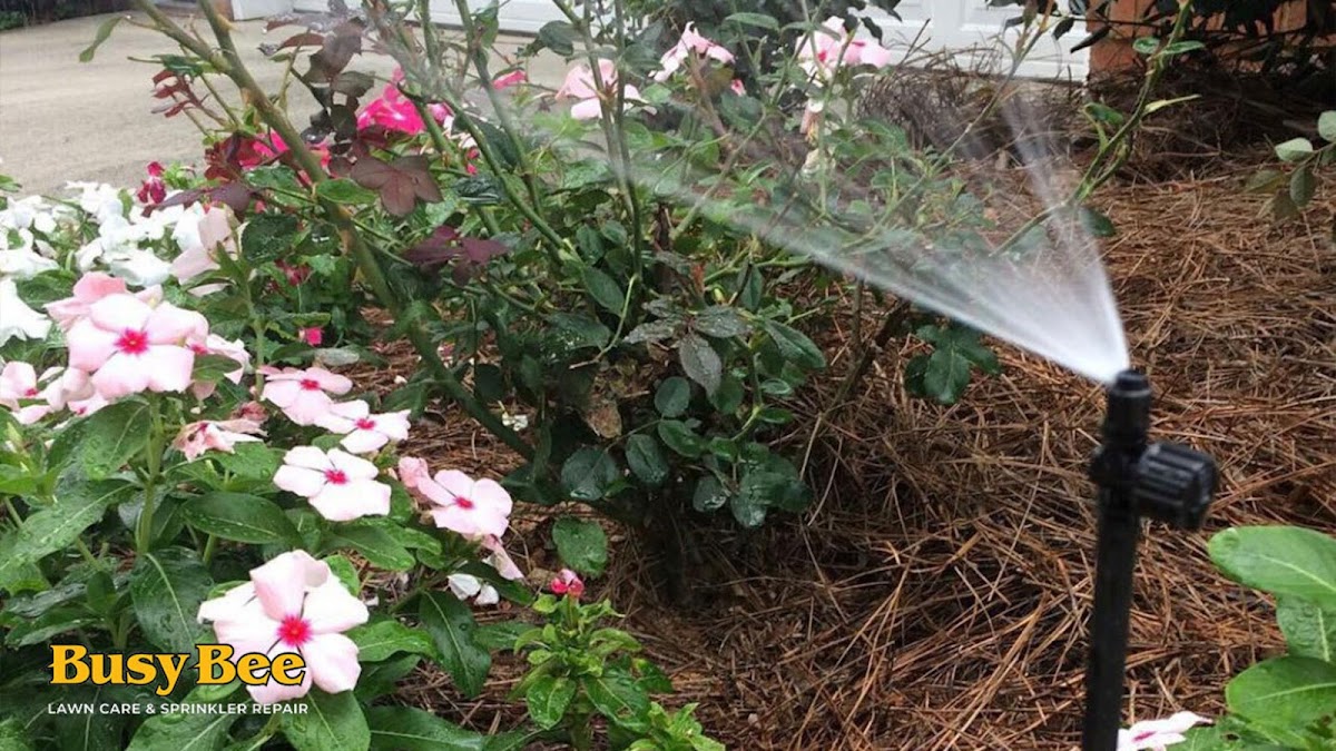 Busy Bee Lawn Care & Sprinkler Repair Contractor in West Columbia, SC photo