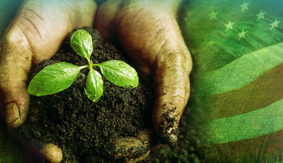Tidewater Landscape Management Inc Contractor in Savannah, GA photo