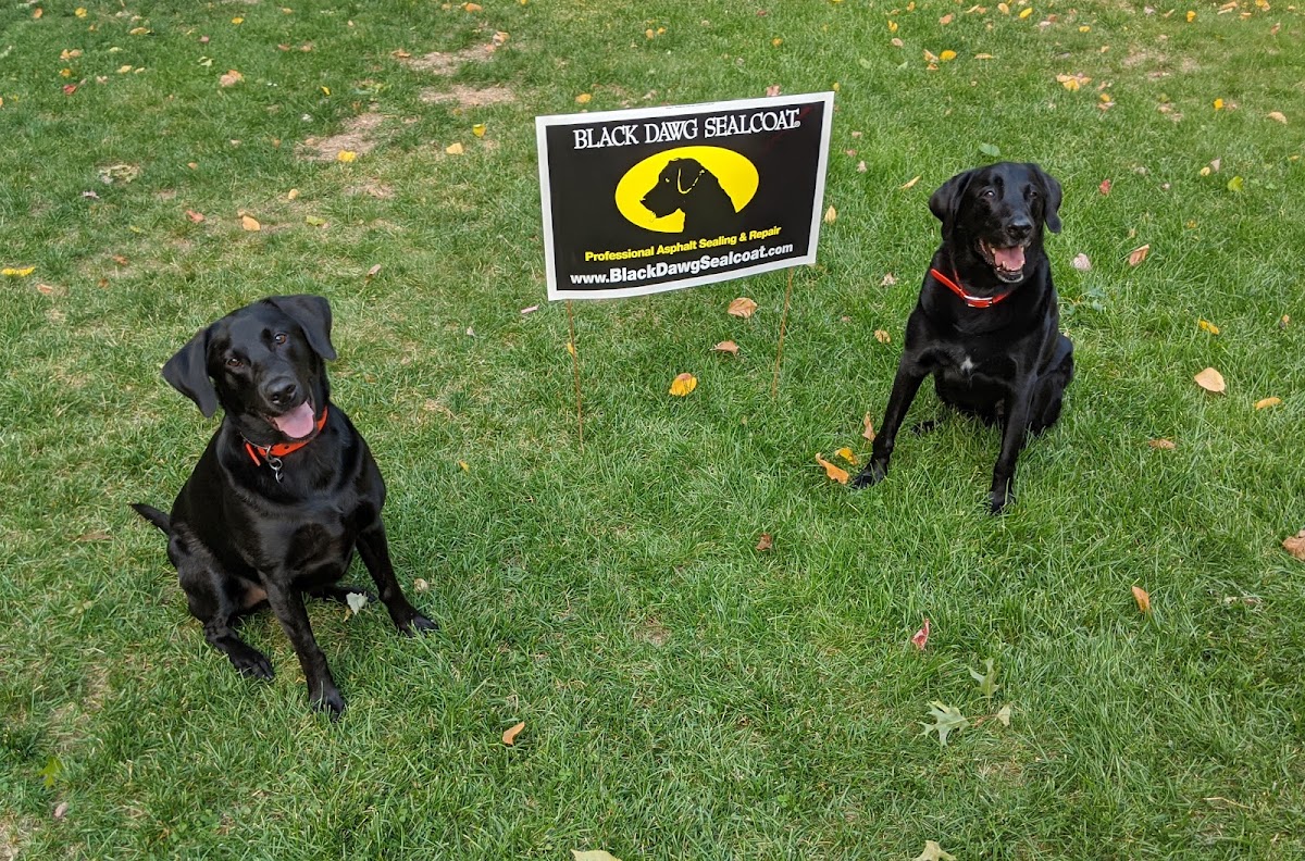 Black Dawg Sealcoat of NH and Northern MA Contractor in Amherst, NH photo