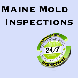 Maine Mold Inspections Contractor in Brewer, ME photo