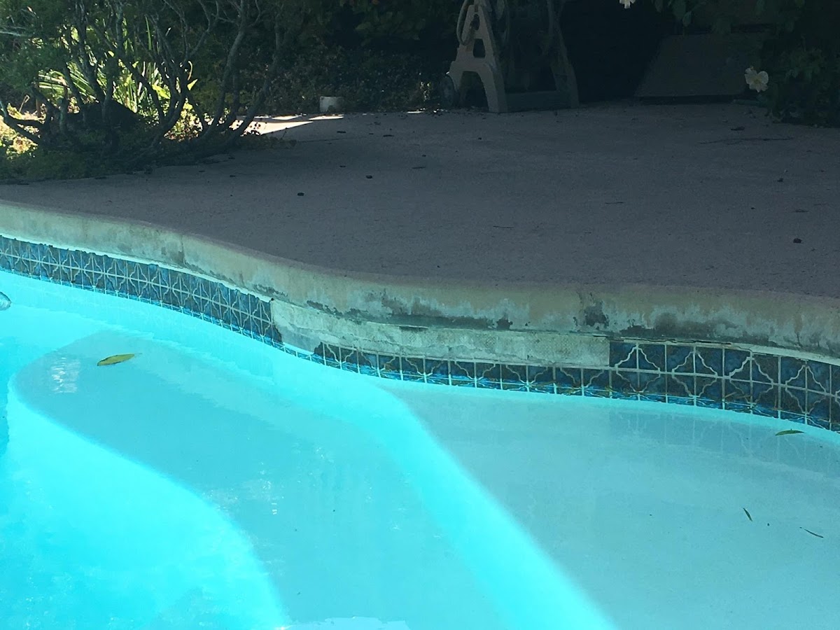Almaden pool tile repair.......Serving The Entire SF bay area Auto Repair in San Jose, CA photo