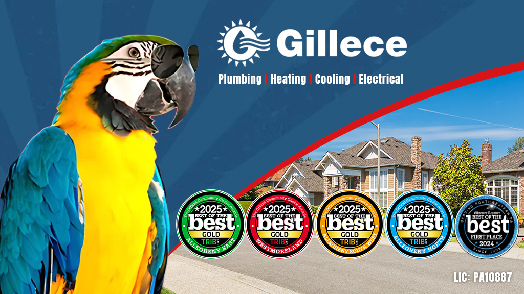 Gillece Services Plumber in Bridgeville, PA photo
