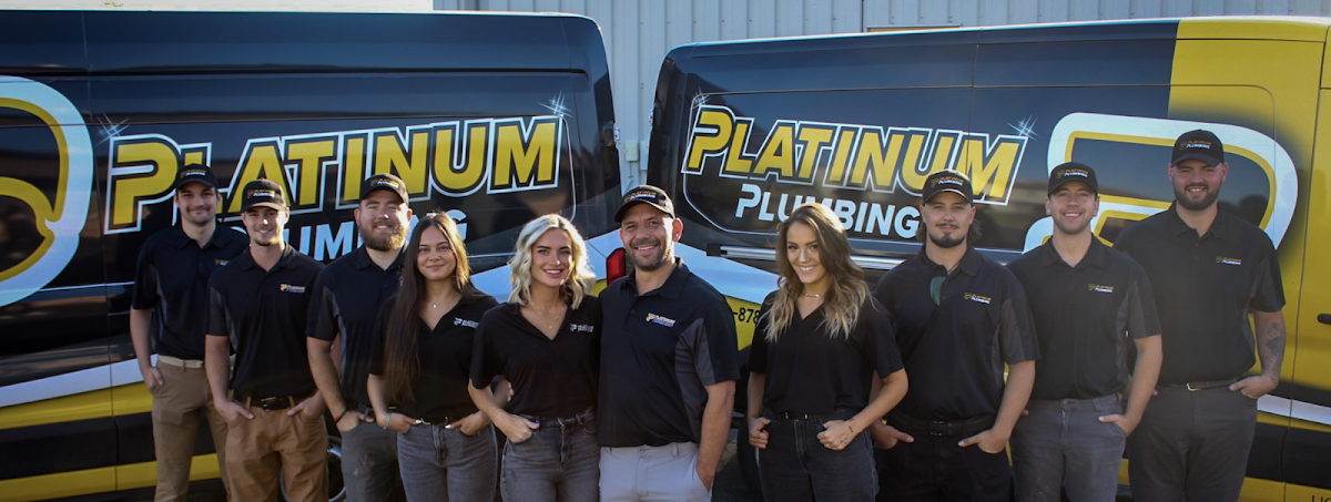 Platinum Plumbing Inc Plumber in Bloomington, IL photo