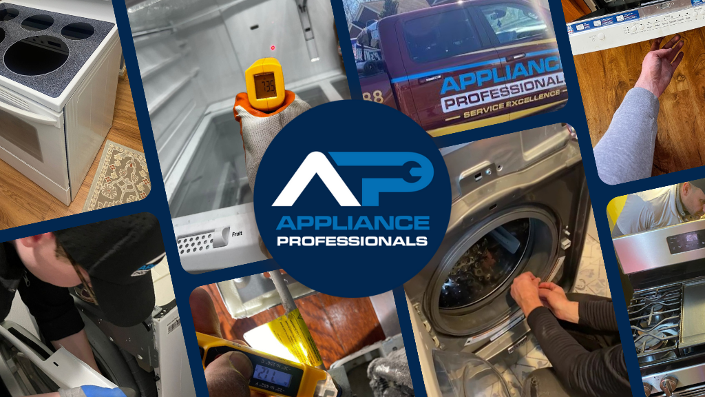 Appliance Professionals Parts and Service local service