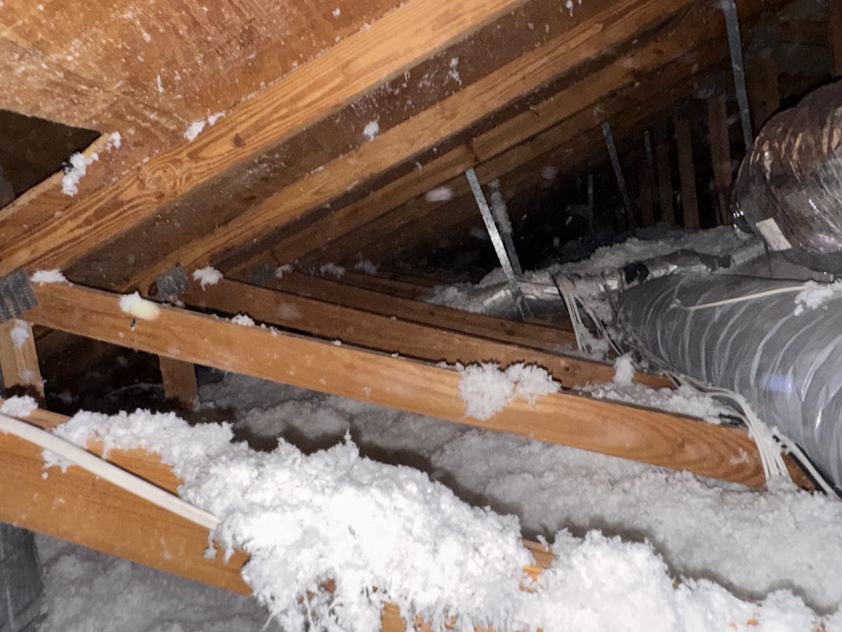 Clean Air America LLC Plumber in Plantation, FL photo
