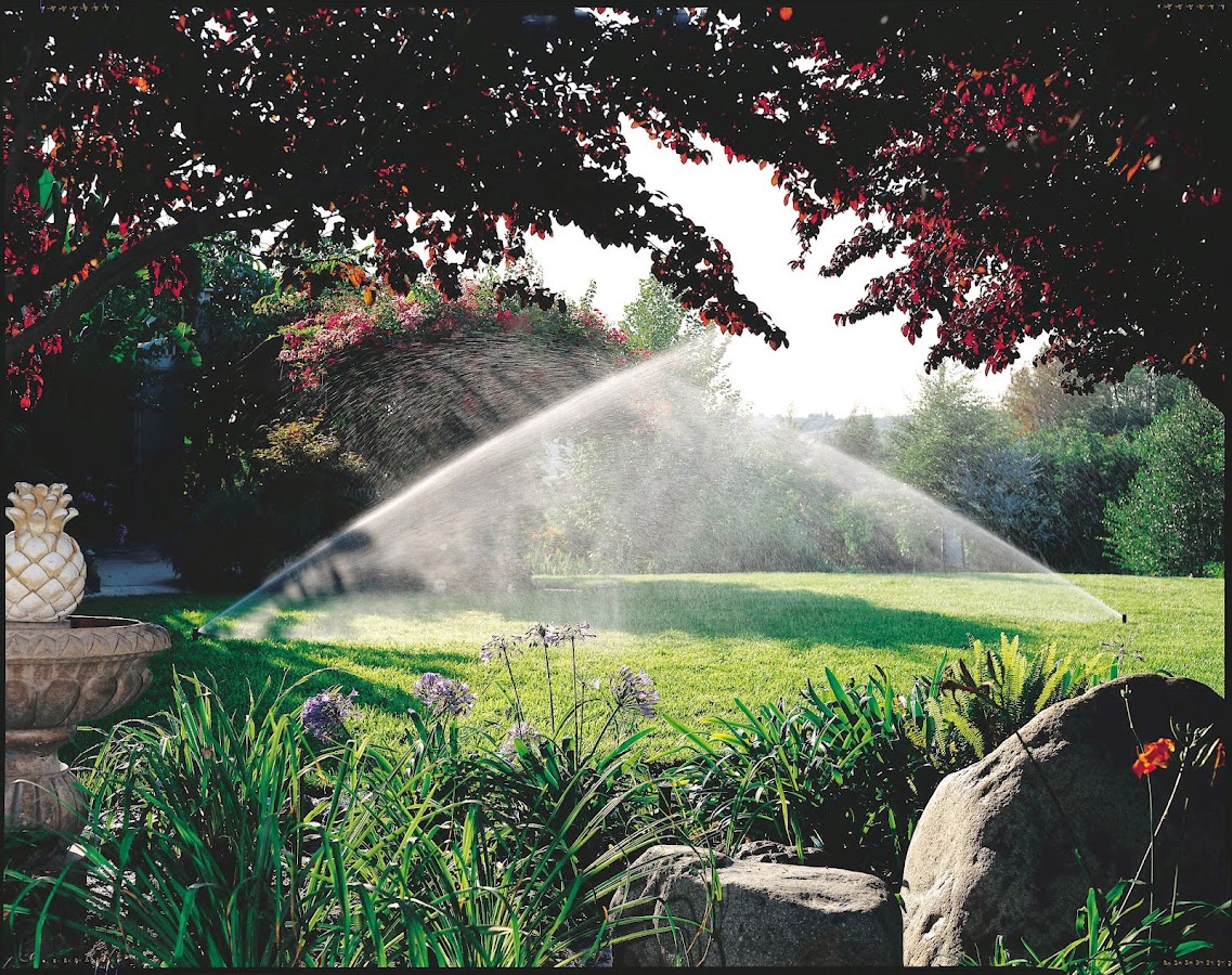 All Phaze Irrigation Plumber in Palm Harbor, FL photo