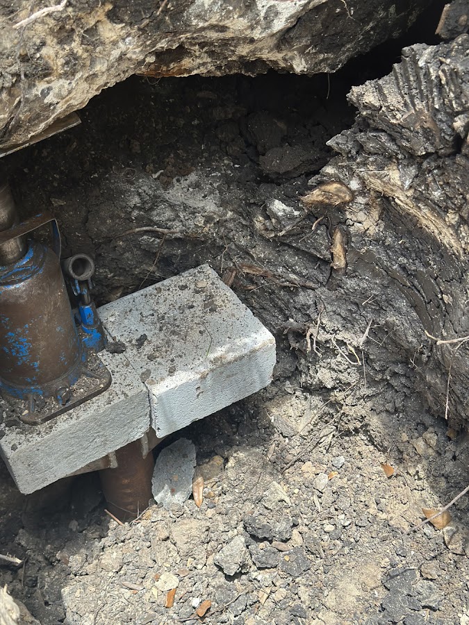 Bats Foundation Repair Contractor in Austin, TX photo