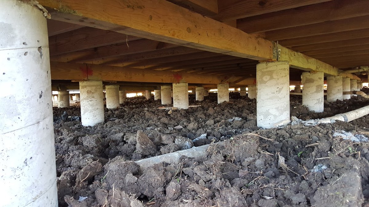 Armadillo Foundation Repair Contractor in Del Valle, TX photo