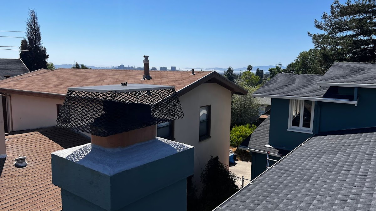 Chimney Sweep Services