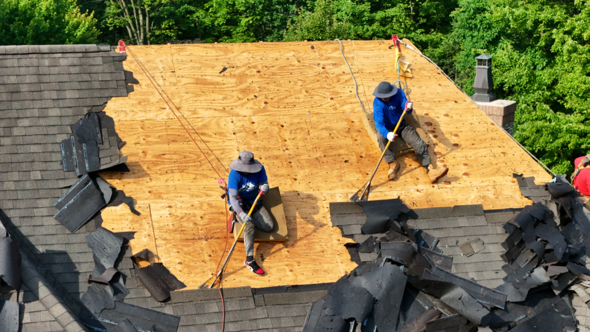 The Helping Company, LLC photo
