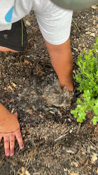 Texas Sprinkler Pros gallery photo