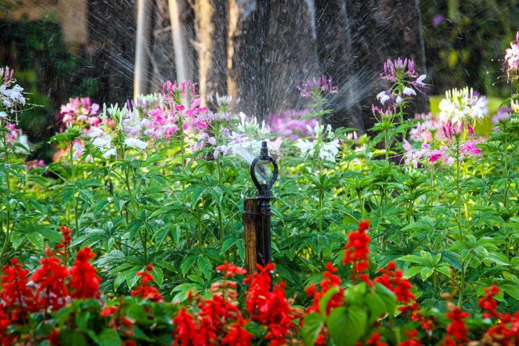Gallery photo for Sprinkler Repair San Antonio, Plumber in San Antonio, TX