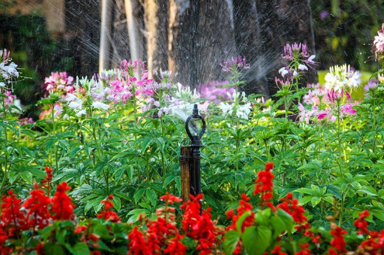 Sprinkler Repair San Antonio Plumber in San Antonio, TX photo