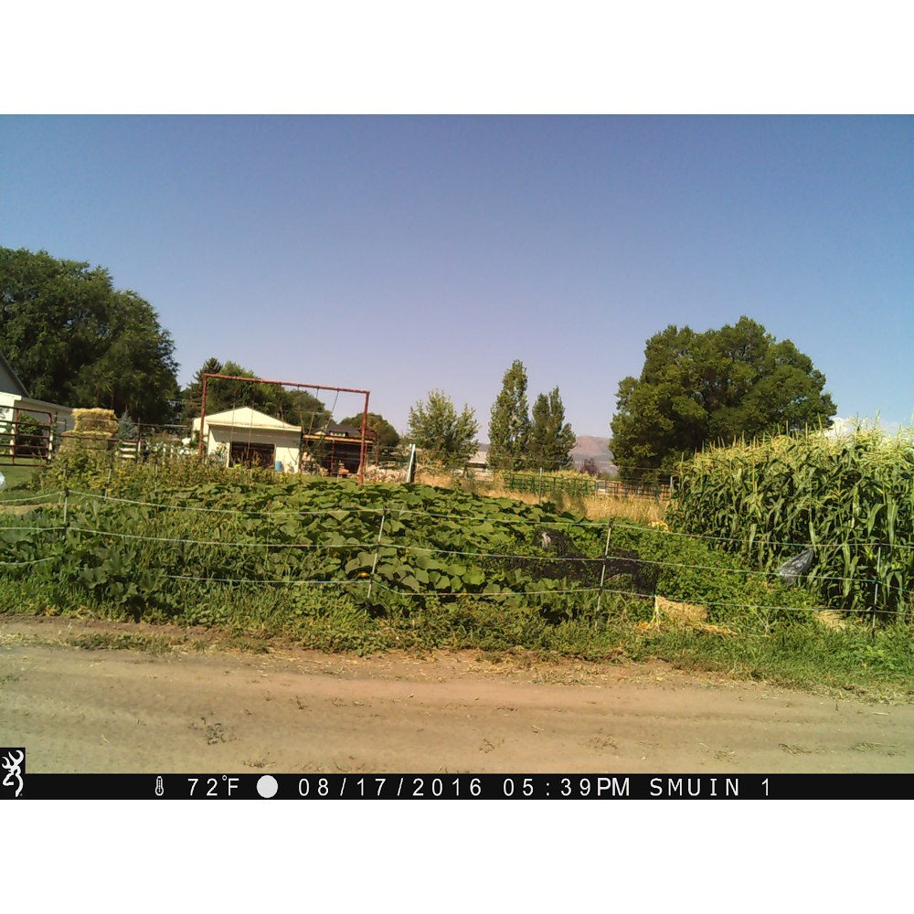 Gallery photo for JDS Plumbing, Plumber in Vernal, UT