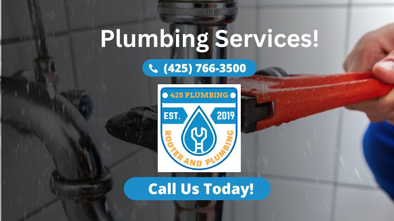 425 Plumbing Plumber in Bellevue, WA photo