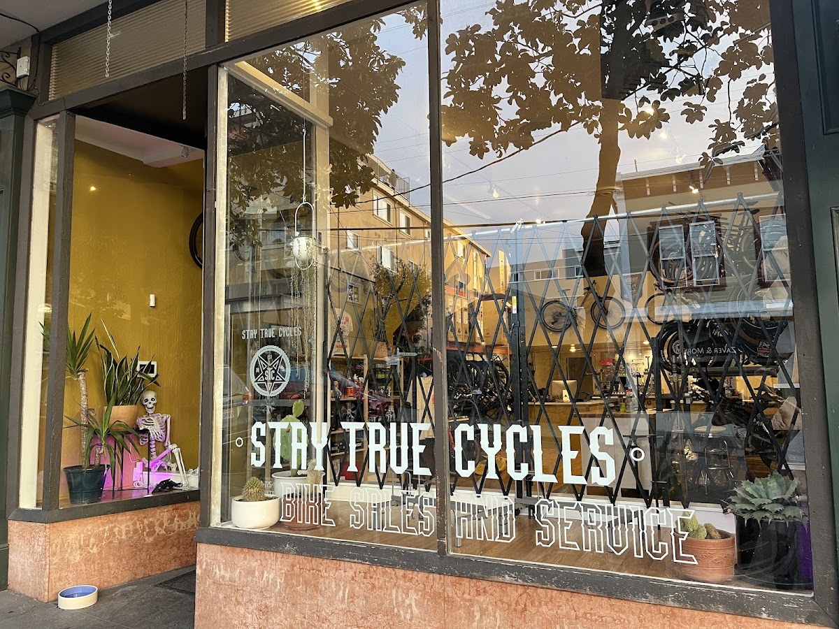 Stay True Cycles photo