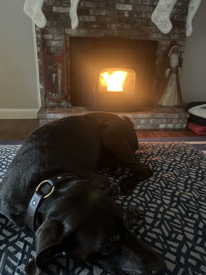Business photo for Bryan's Pellet Stove Service in Brimfield, MA
