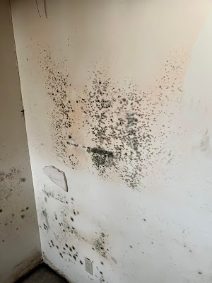 Gallery photo for Midwest Restoration Pros LLC, Plumber in De Soto, MO