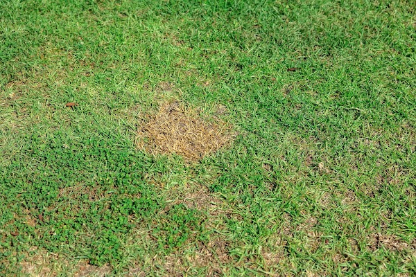 Gallery photo for Conserva Irrigation of Atlanta, Plumber in Buford, GA