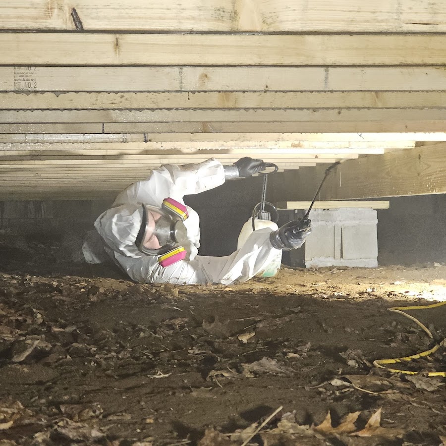 All Dry Services of East Tennessee Plumber in Johnson City, TN photo
