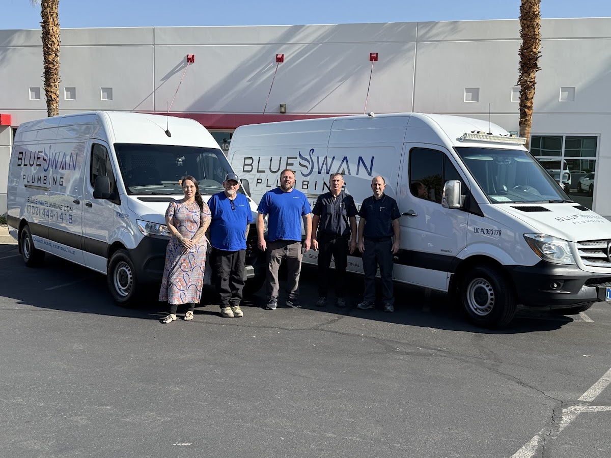 Blue Swan Service