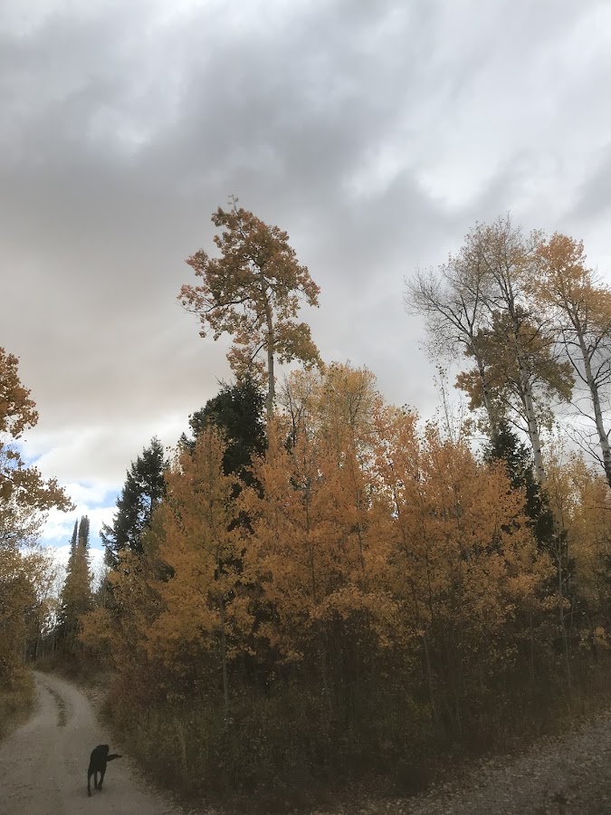 alpen electric llc Plumber in Tetonia, ID photo