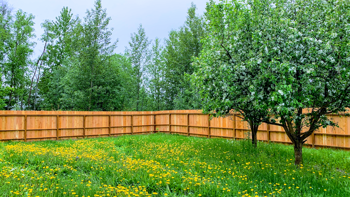 Valley Residential Fence Contractor in Ak 99654, AK photo