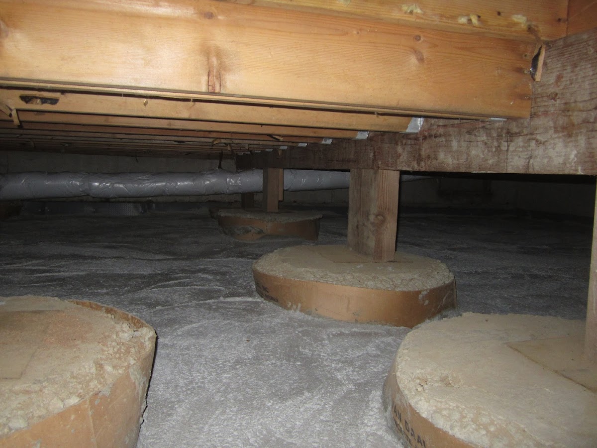 Perma Dry Waterproofing & Drainage Plumber in Renton, WA photo