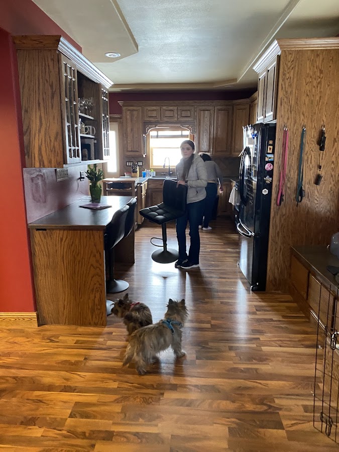 House Doctors Painting & Restoration Contractor in Aberdeen, SD photo