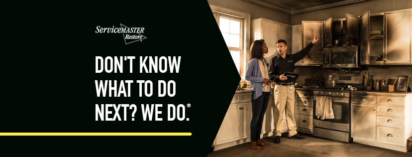 ServiceMaster DSI - Springfield Plumber in Springfield, IL photo