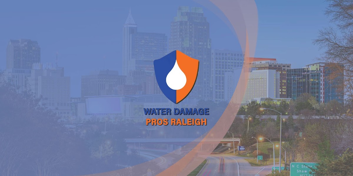 Water Damage Pros NC Plumber in Raleigh, NC photo
