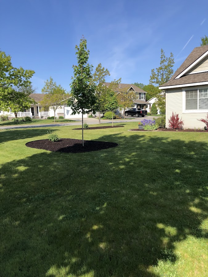 LNW Landscaping, Coeur d’Alene Roofing Repair in Coeur D'alene, ID photo