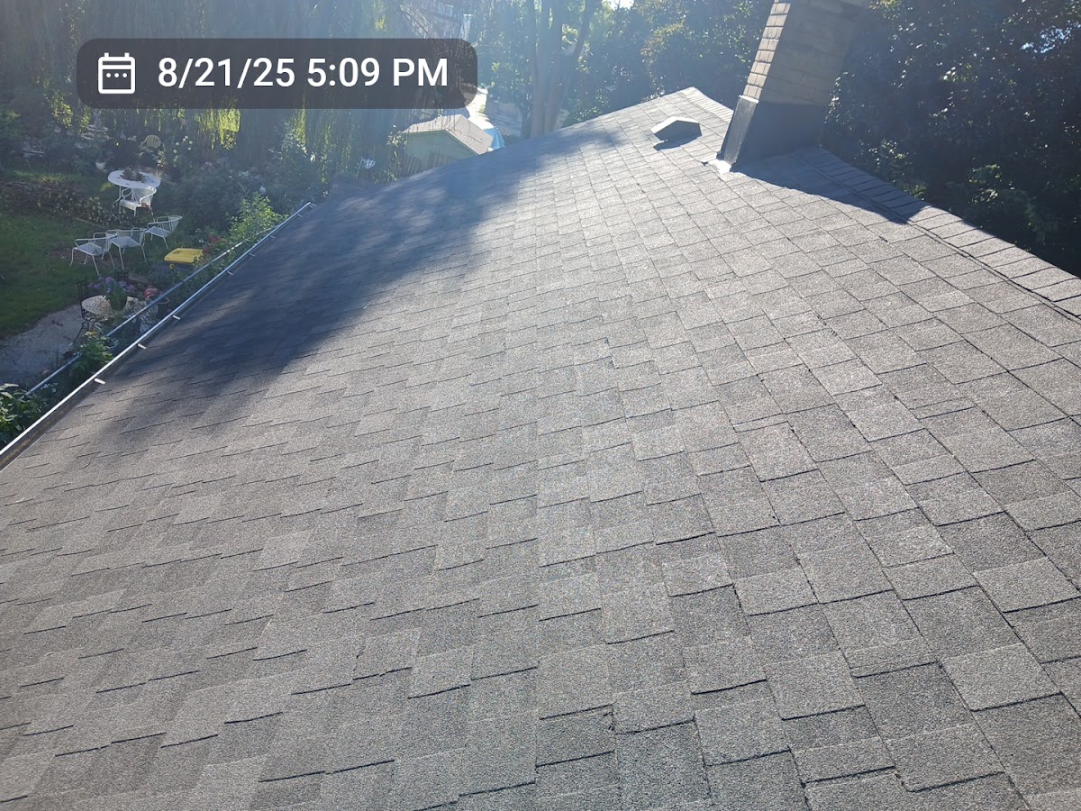 Modern Exterior Roofing Roofing Repair in Madison, WI photo